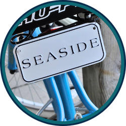 Seaside marketing consultant; bike license plate